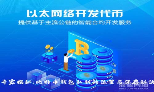 专家揭秘：比特币钱包私钥的位置与保存秘诀